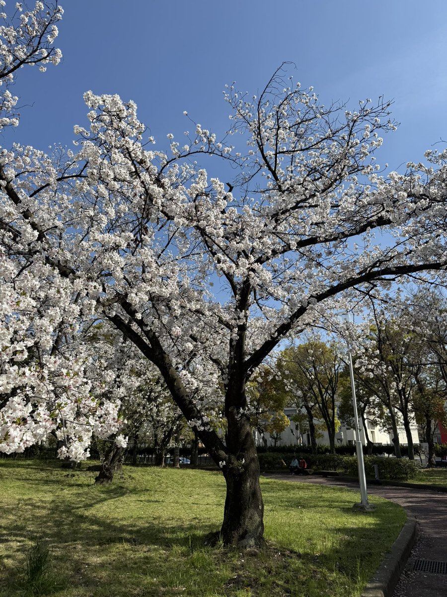 🦥유우시（ゆぴ）🤟😈 tweet media