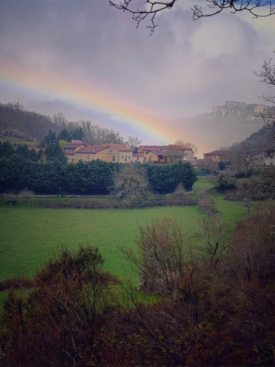 JUAN JOSÉ ASENSIO tweet media