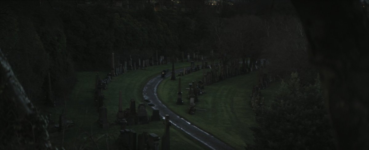 🦇⁷² tweet media