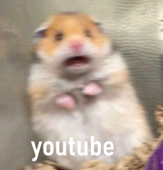 NicoCodeda tweet media