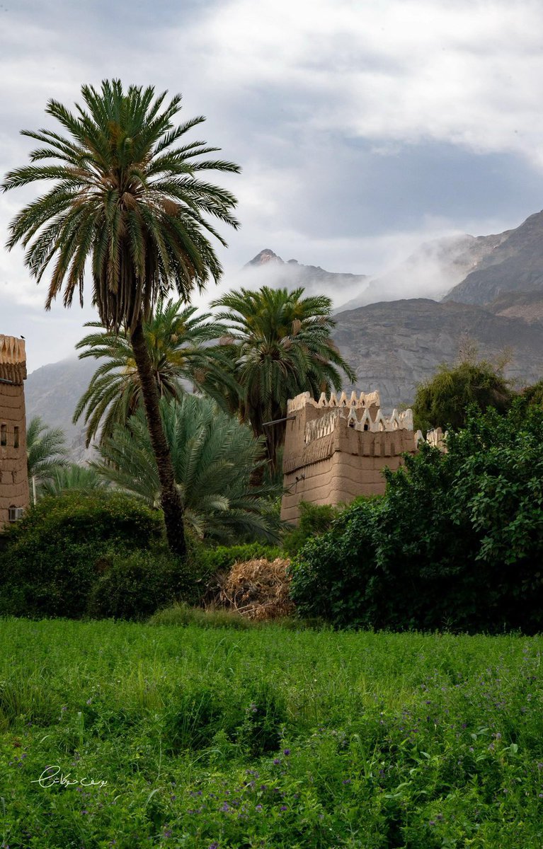 ريـم tweet media