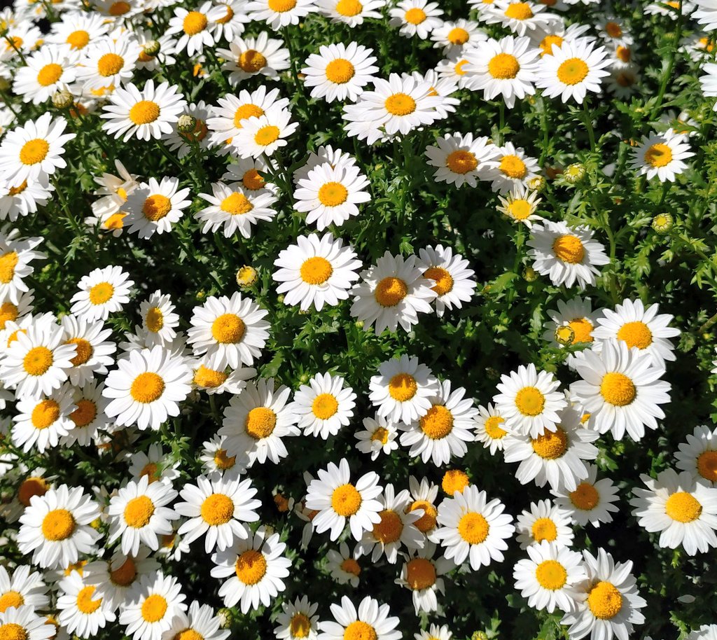 やまちゃ tweet media