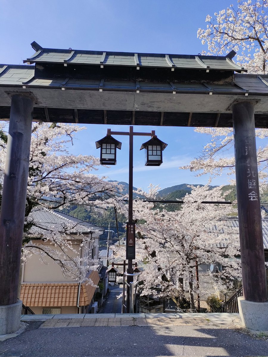 奈良観光ガイド(赤帽) tweet media