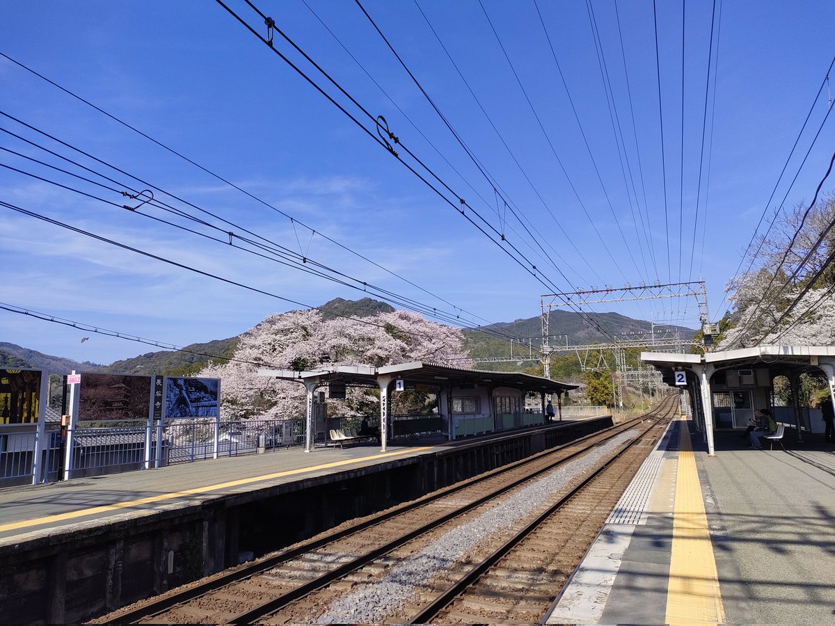 奈良観光ガイド(赤帽) tweet media