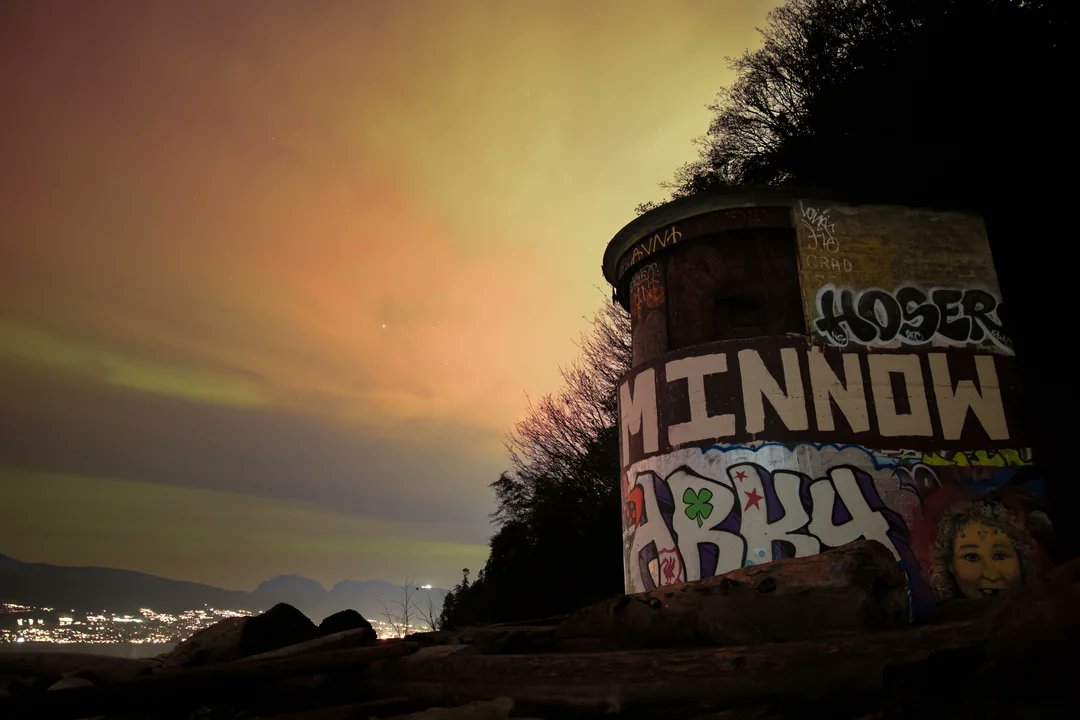 WolfHeart tweet media