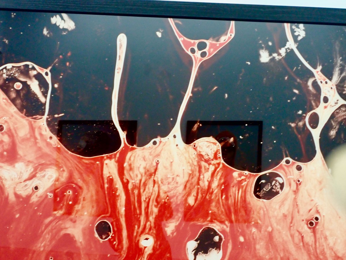 brigitte celerier tweet media