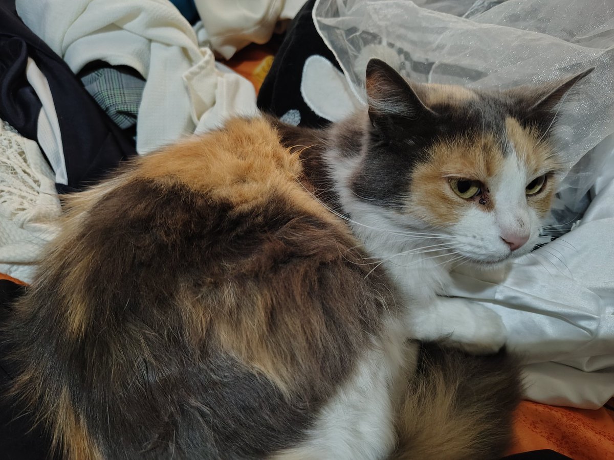 𝓔𝔁𝓸𝓻𝓬𝓲𝓺𝓼𝓶 ୨୧ tweet media