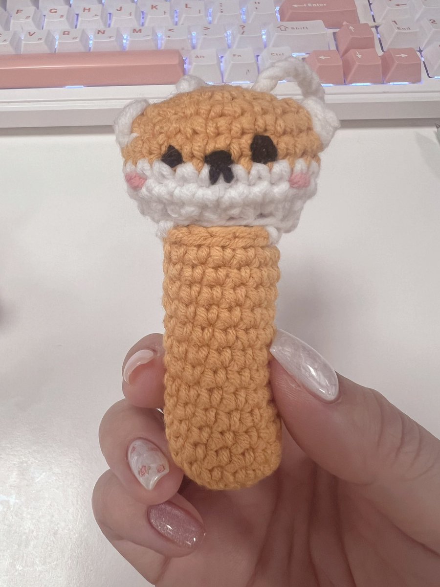 채또또 tweet media