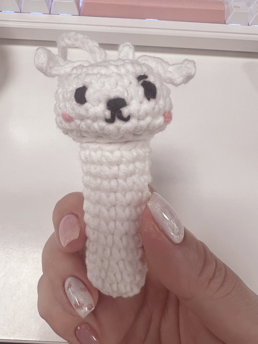 채또또 tweet media