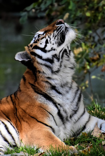 Tyler Bosworth tweet media