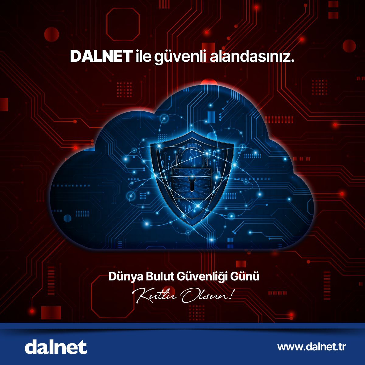 dalnettr tweet media