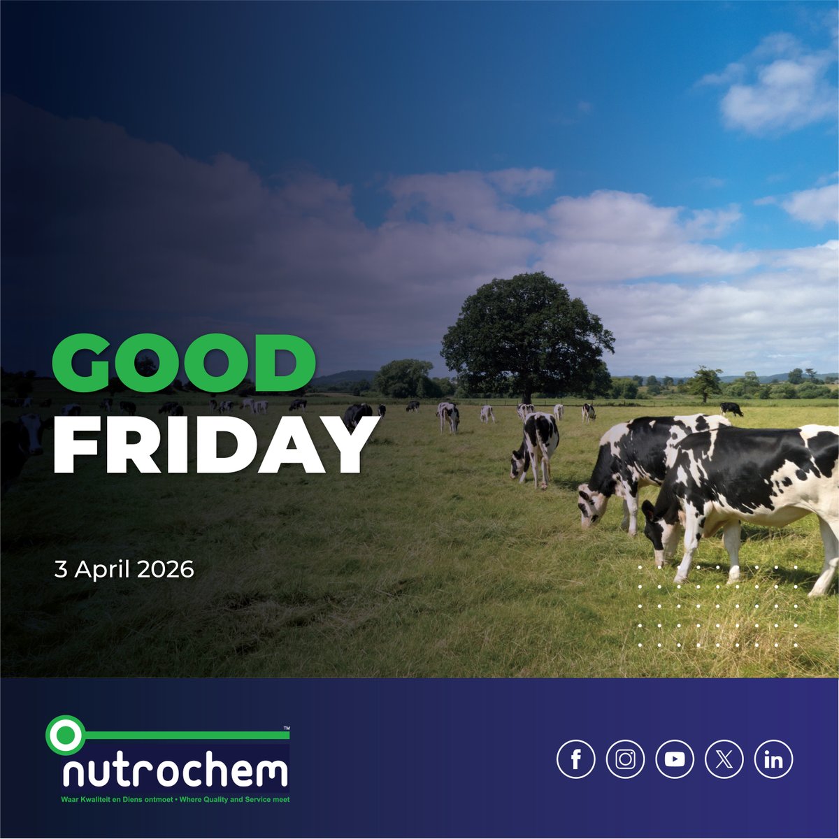 On this Good Friday, we pause to reflect on the values of sacrifice, humility, and renewal.
Wishing all our clients and partners a peaceful and meaningful day.
