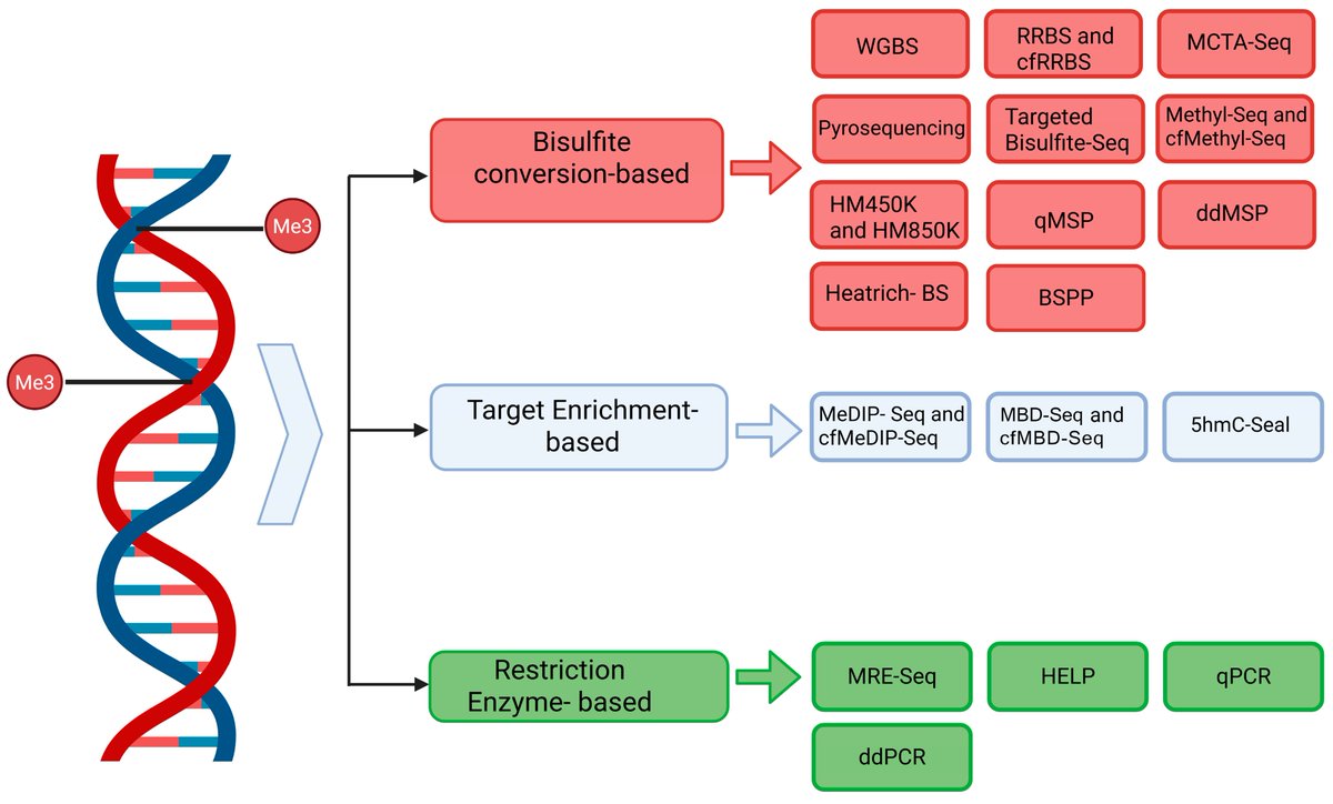 Cancers_MDPI's tweet image. 📄New Editor’s Choice!
“#Methylation Analyses in #LiquidBiopsy of #LungCancer Patients: A Novel and Intriguing Approach Against Resistance to Target Therapies and Immunotherapies”
by Domenico Trombetta, Marco Donatello Delcuratolo et al.
🔓Read it free: mdpi.com/2072-6694/17/1…