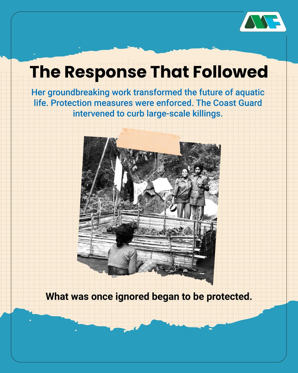 Mobius Foundation tweet media