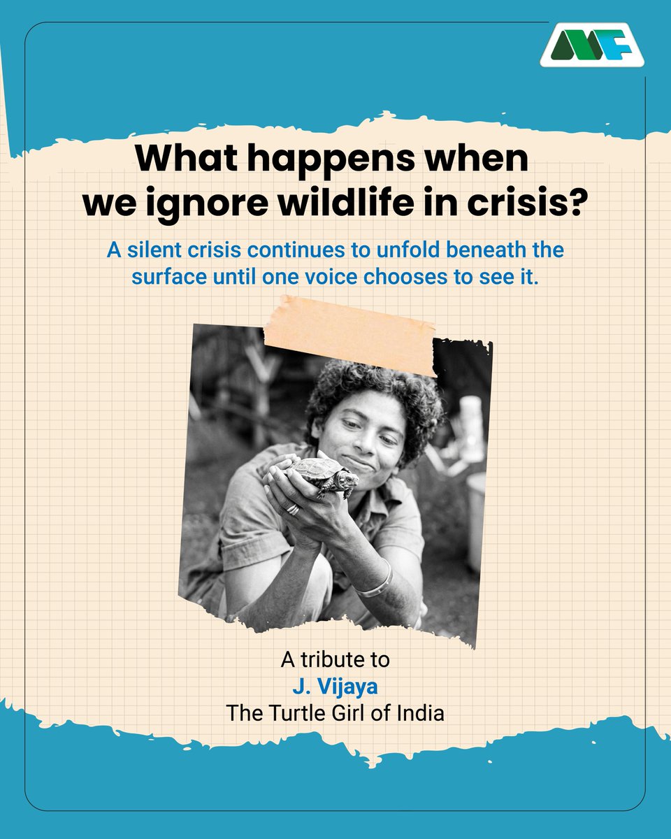 Mobius Foundation tweet media