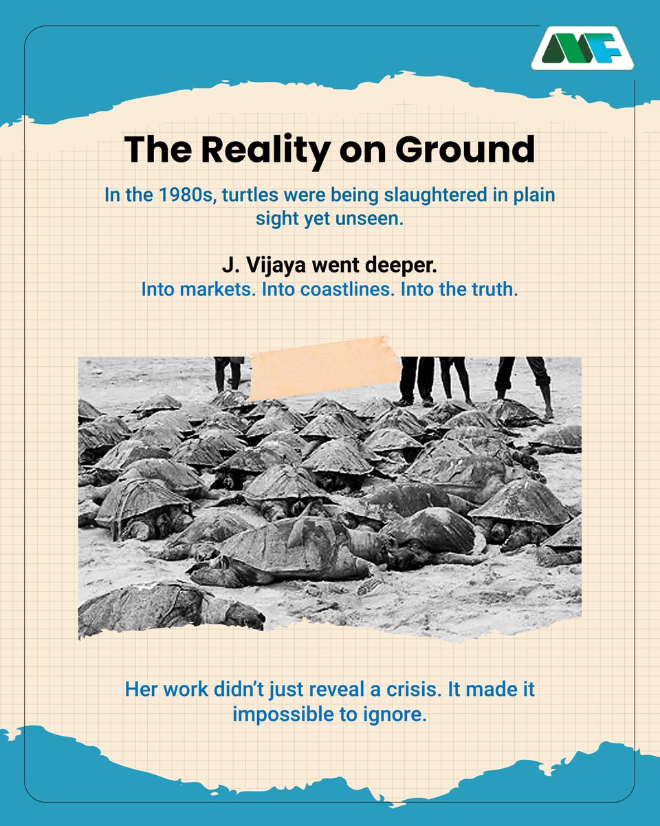 Mobius Foundation tweet media