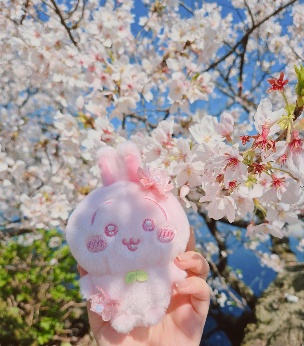 크림(우랴하)✨️ tweet media