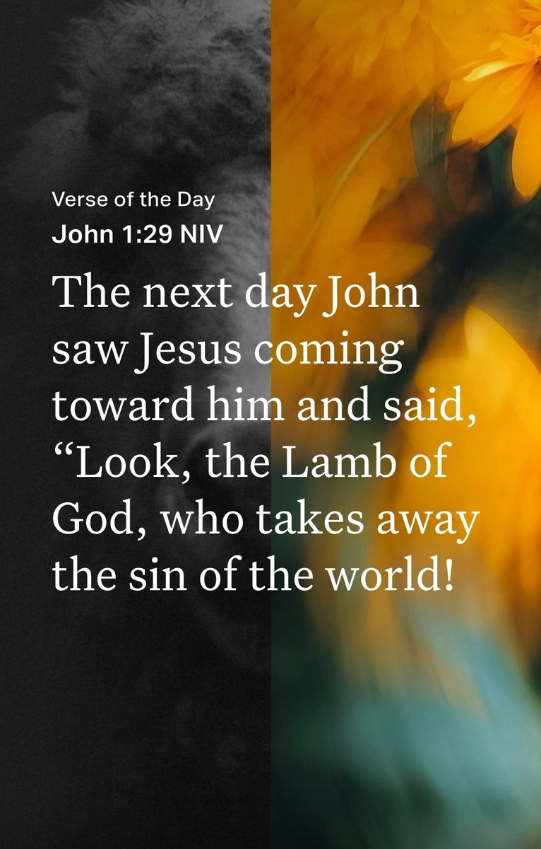 Be Soul Pretty tweet media