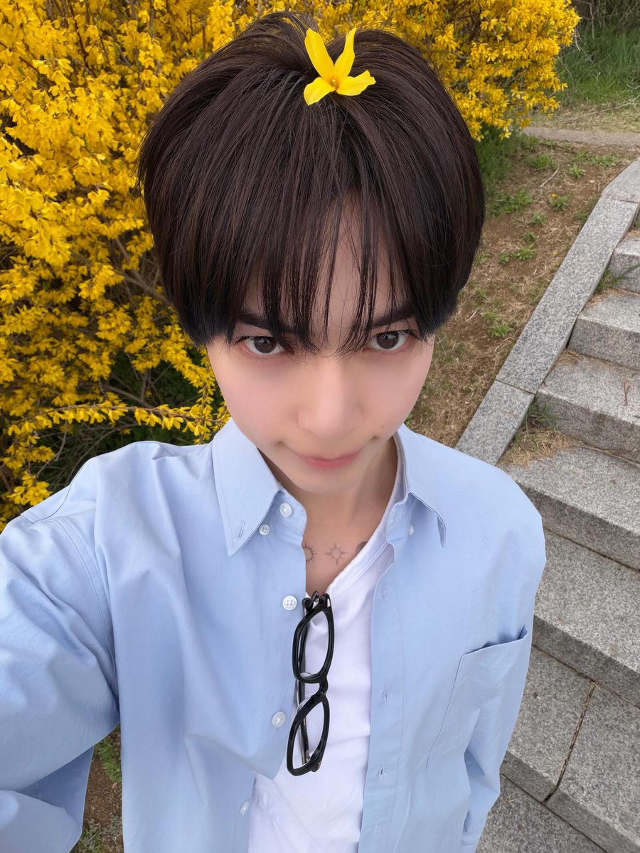 하루♡꙳ tweet media