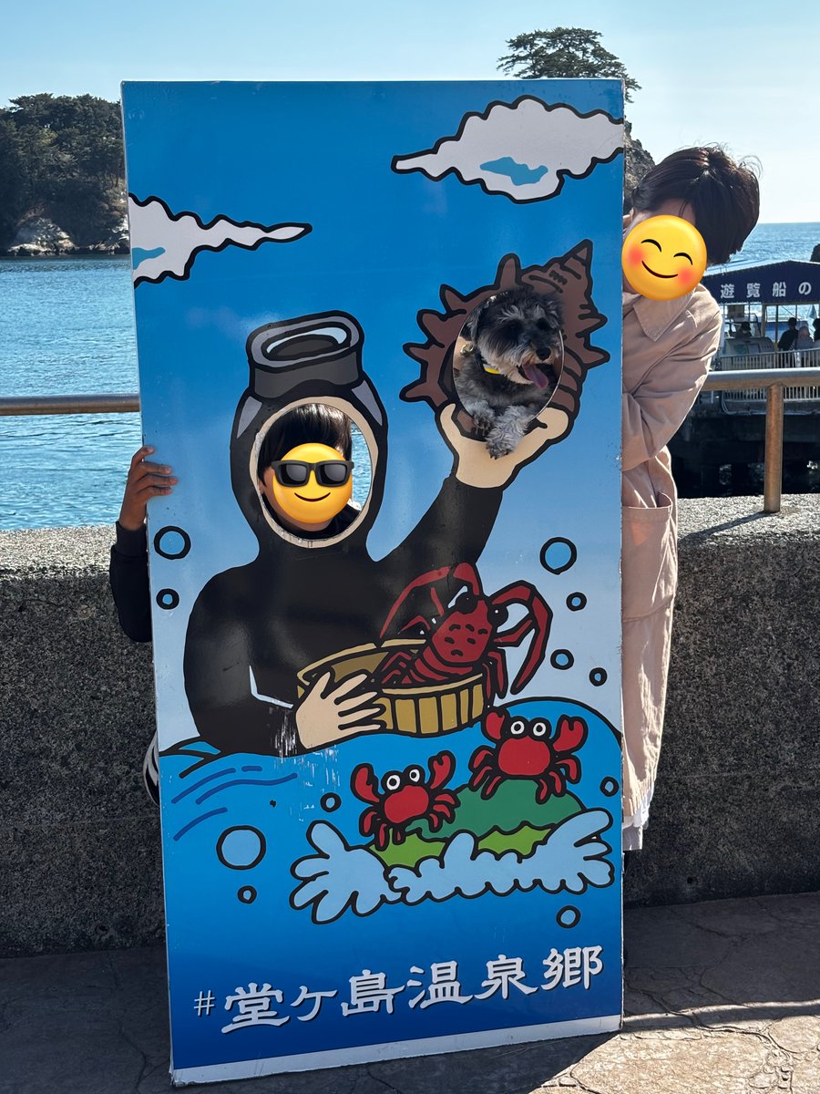 こうもりちゃん🦇💕 tweet media