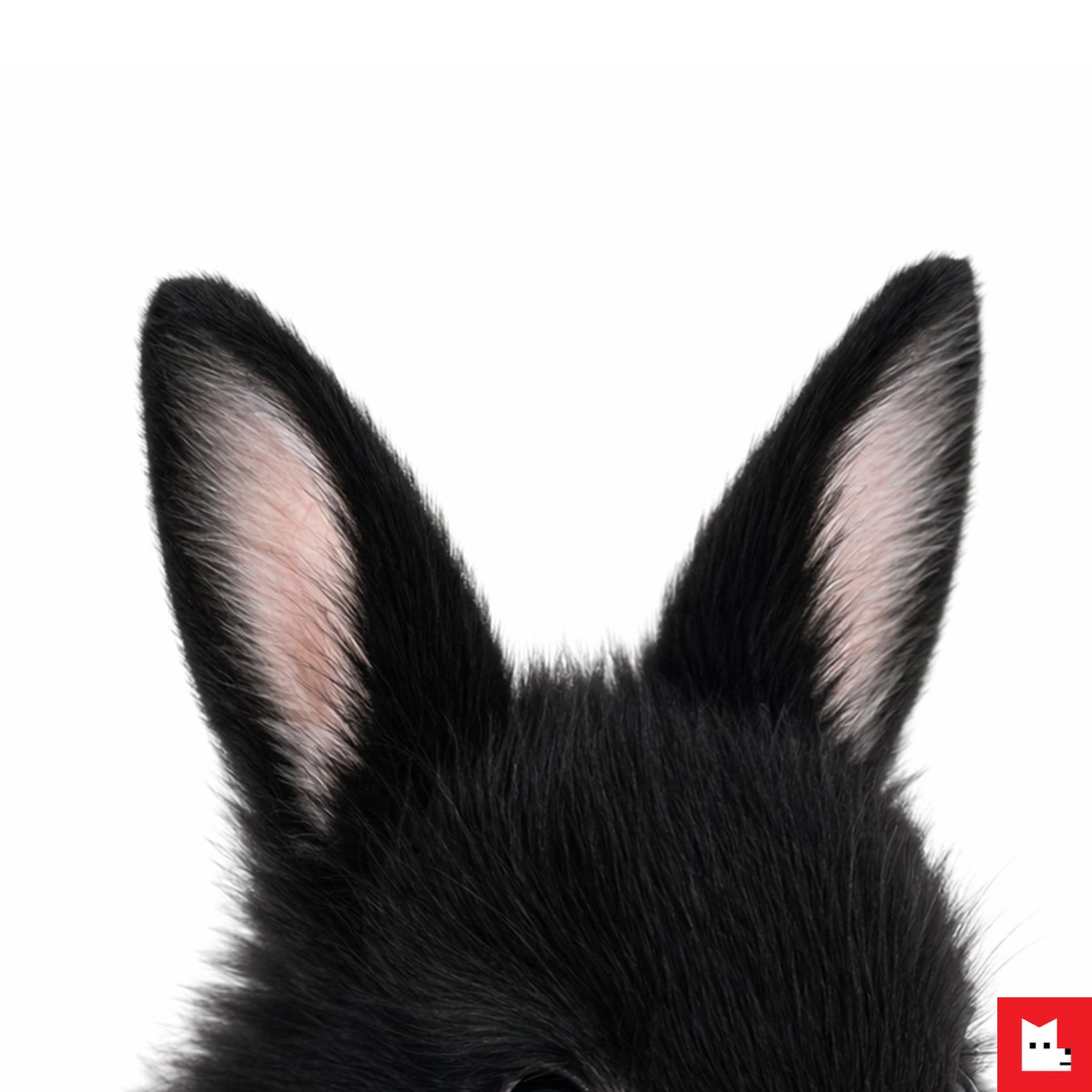 LEZHIN FR tweet media