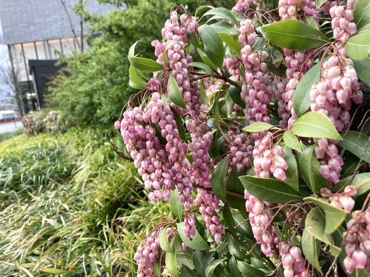 FM802 FRIDAY Cruisin' Map!! tweet media