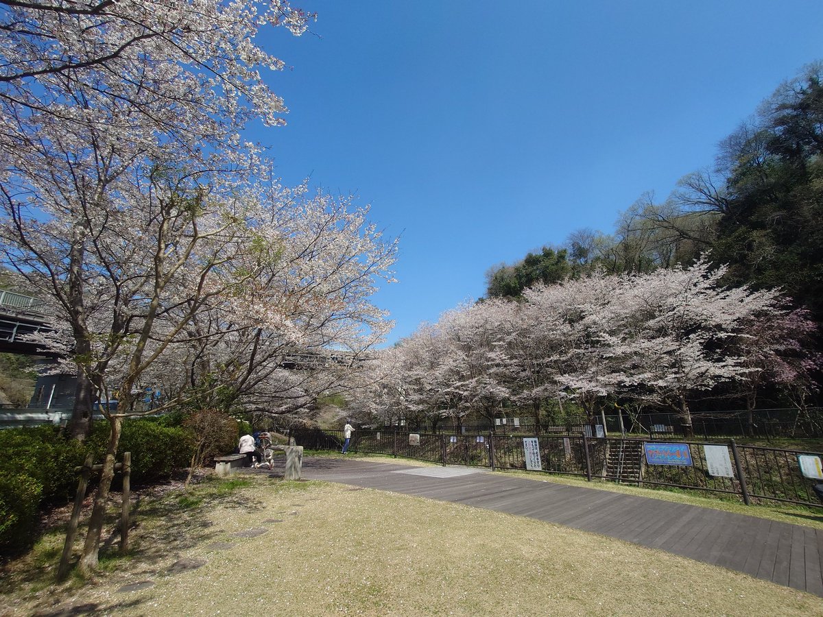 かしわらイイネット（大阪府柏原市から） tweet media