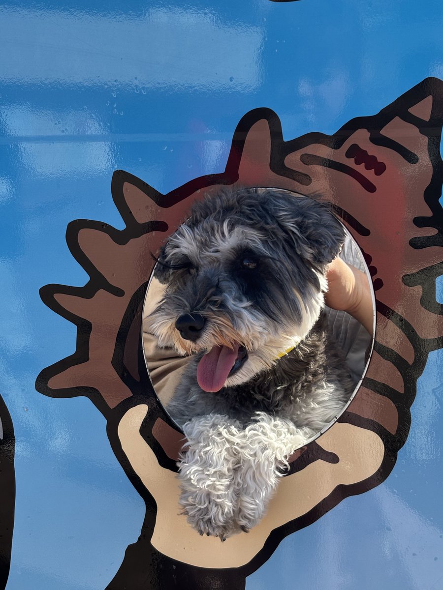 こうもりちゃん🦇💕 tweet media