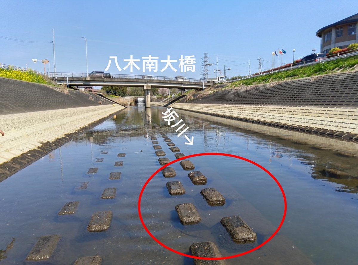 国土交通省 江戸川河川事務所 tweet media