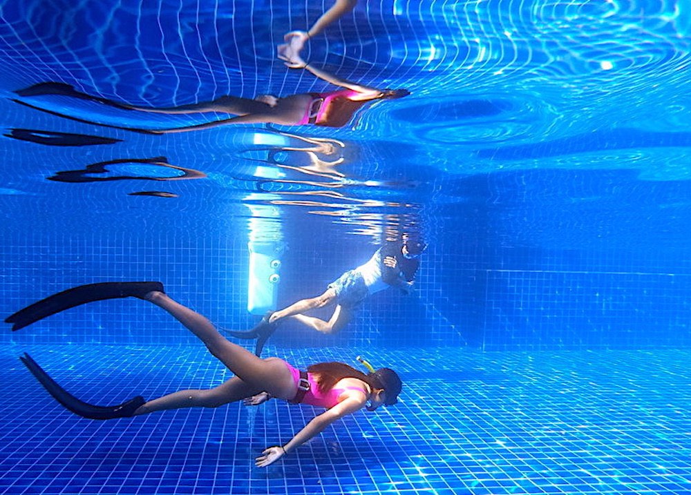 The Funky Turtle® tweet media