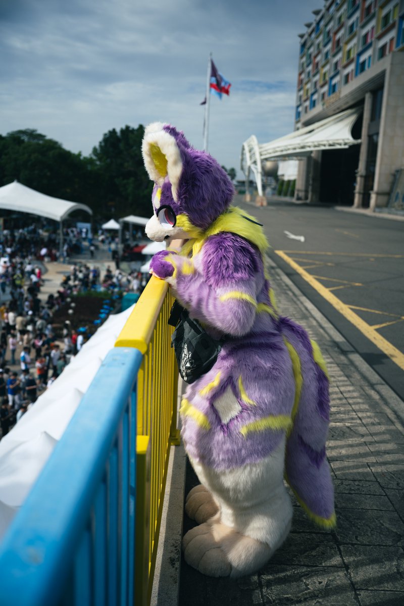 艾可皮恩&泰爾 tweet media