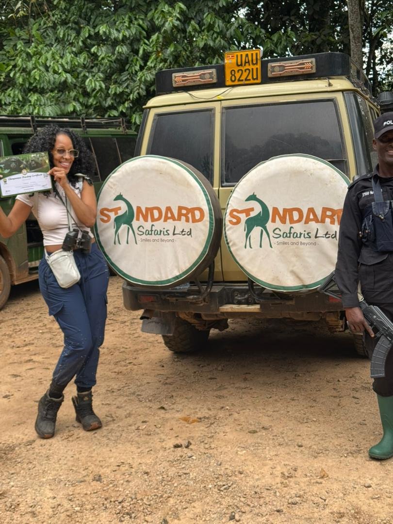 Standard Safaris tweet media