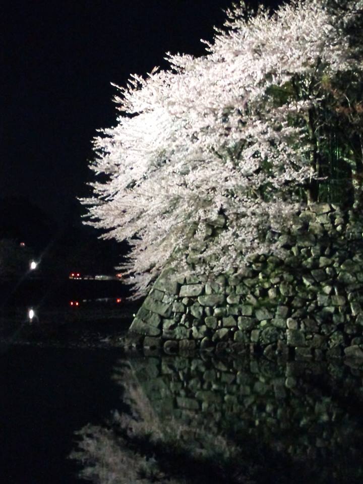 エビス石井 tweet media