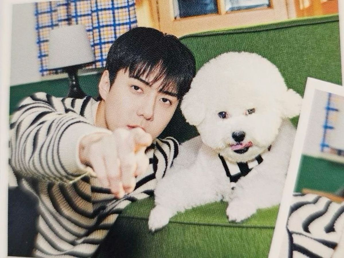 ⋆. 𐙚˚࿔𝓐𝓥𝓐 𝜗𝜚˚⋆-DearMyGirl tweet media