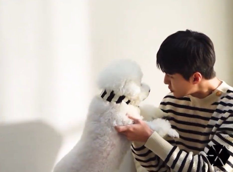 ⋆. 𐙚˚࿔𝓐𝓥𝓐 𝜗𝜚˚⋆-DearMyGirl tweet media