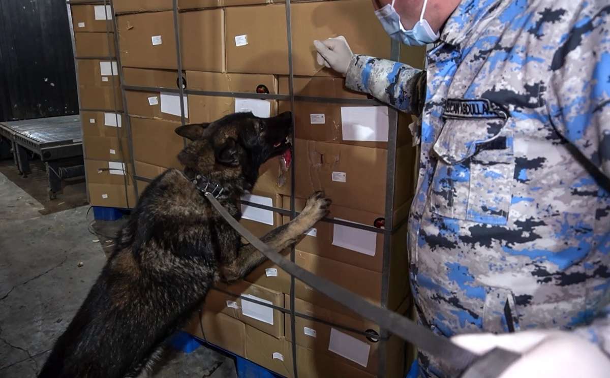 Dövlət Gömrük Komitəsi tweet media