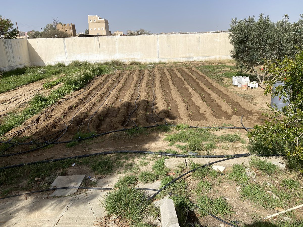 د.آل زلفة tweet media