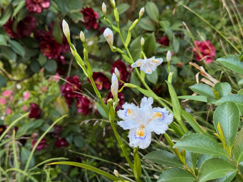 ホテル椿山荘東京 tweet media