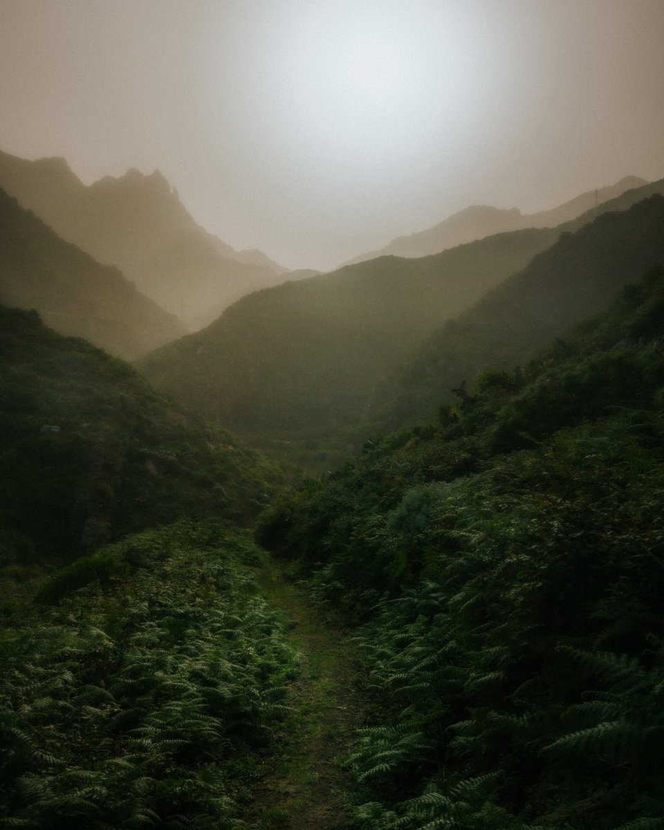 Gariraygua tweet media