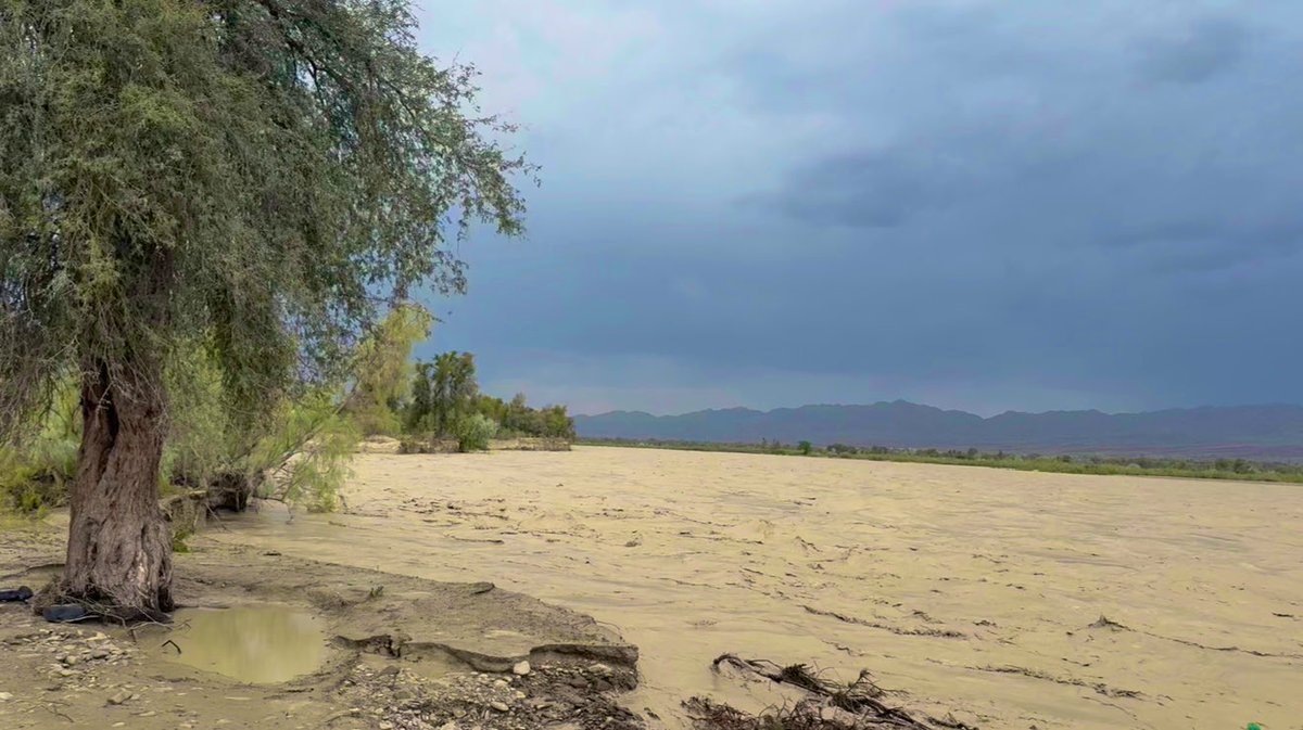 Andalib Baloch tweet media