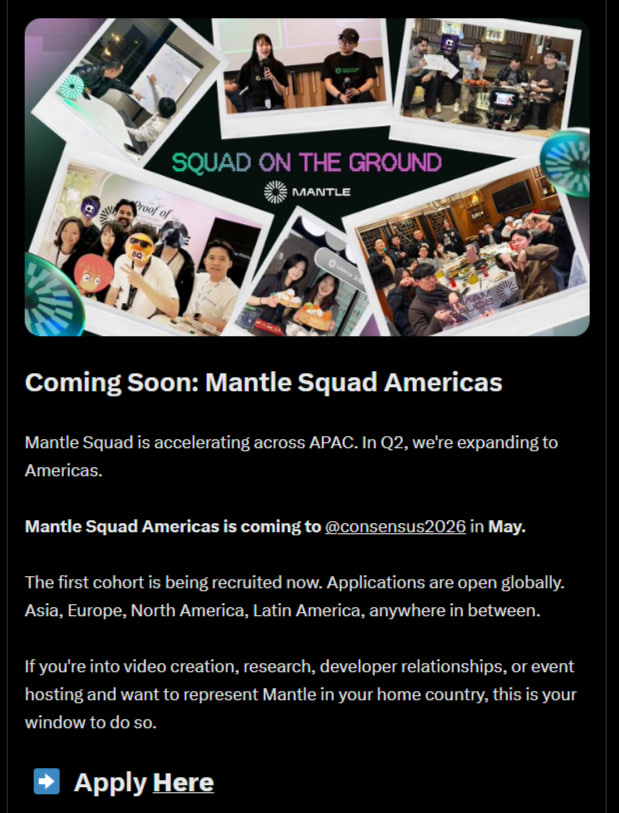 NFTerraX tweet media