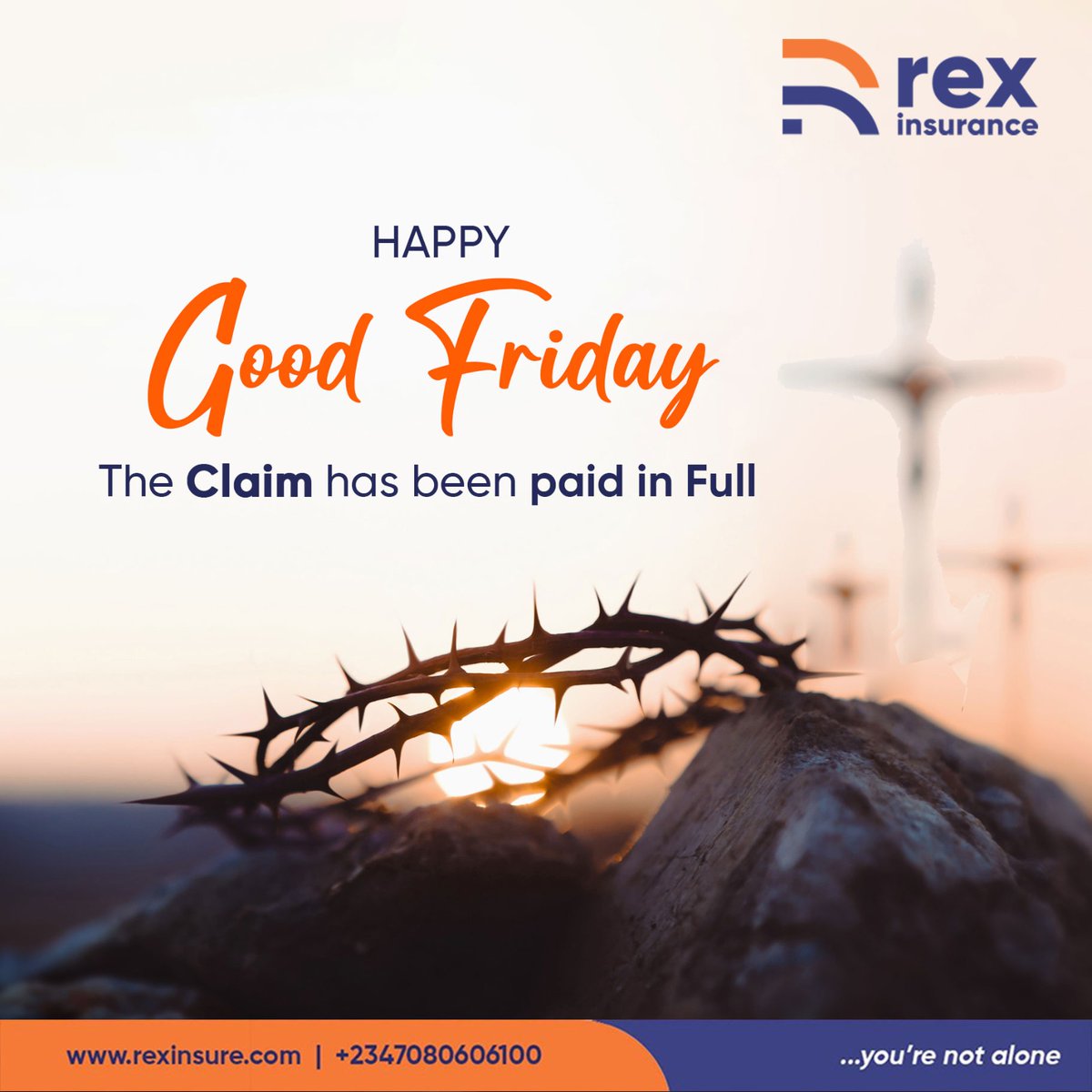 Rex Insurance Limited tweet media