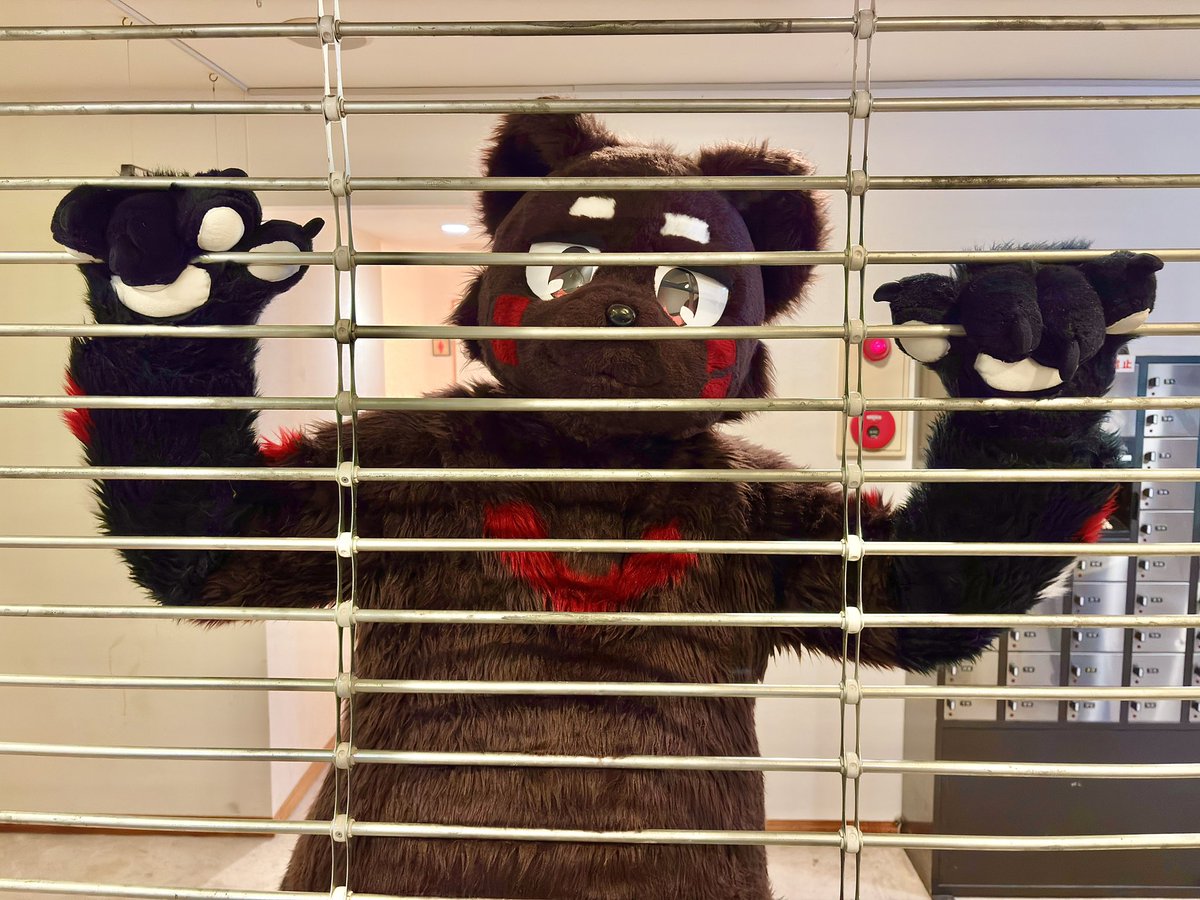 ゆーた tweet media