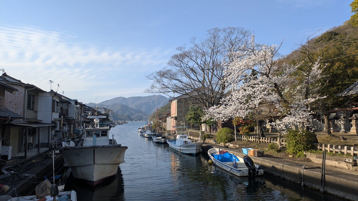 coroner666 tweet media