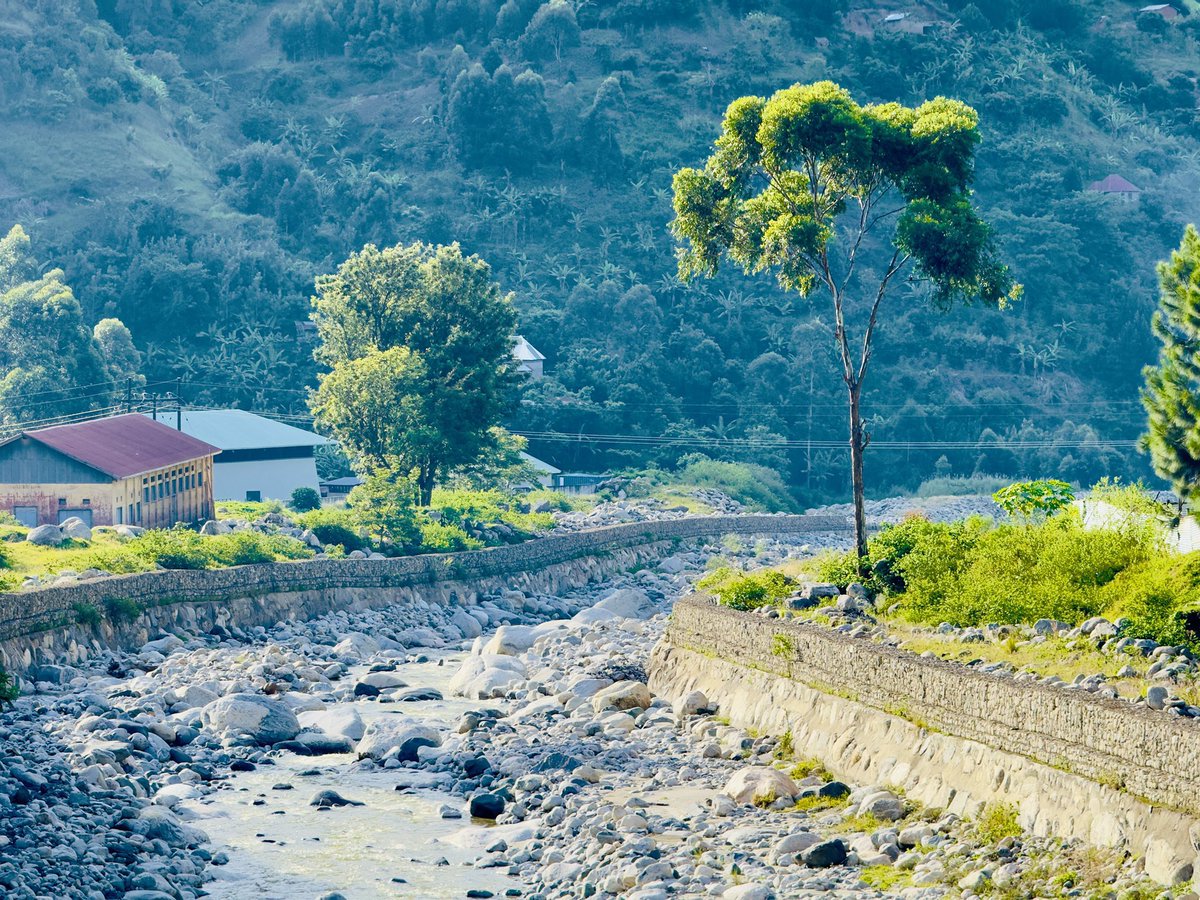 African SafariMan🇺🇬 tweet media