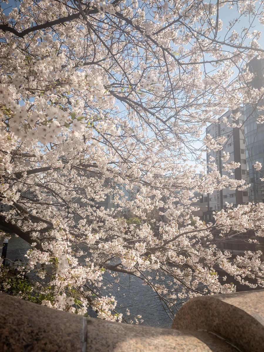 ダンナー🫧🍌 tweet media