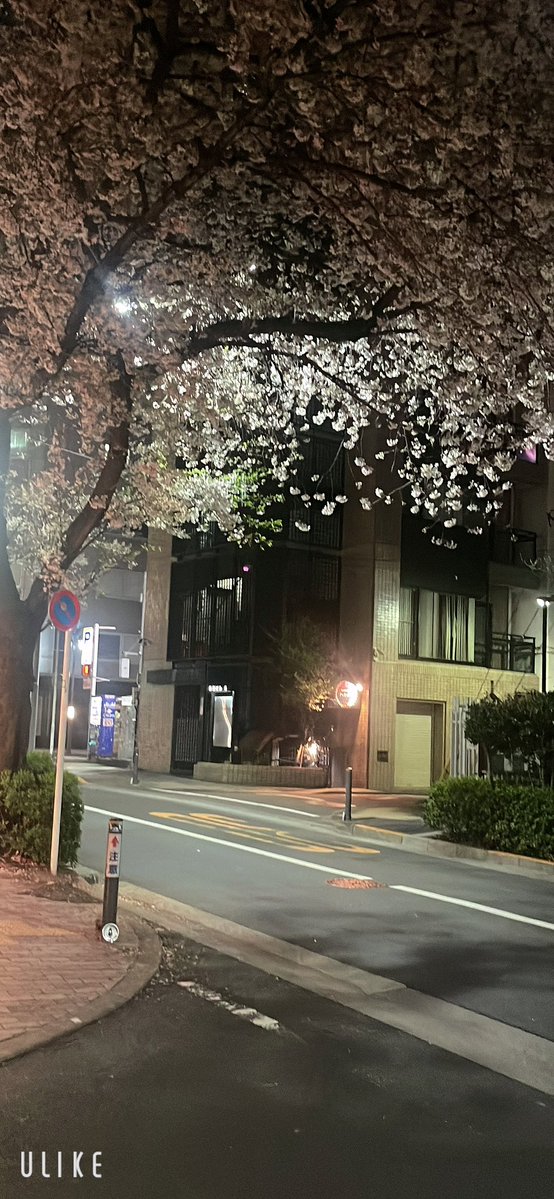 新宿2丁目 TRANS BAR PaRiPi@従業員募集中！ tweet media