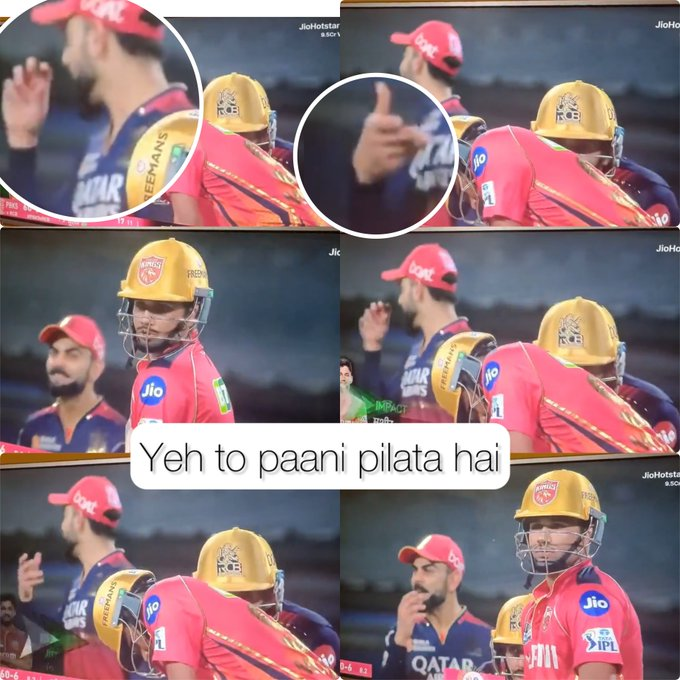 𝗬𝗼𝗿𝗸𝗲𝗿 tweet media