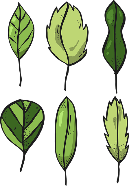 Dorian Lentz tweet media