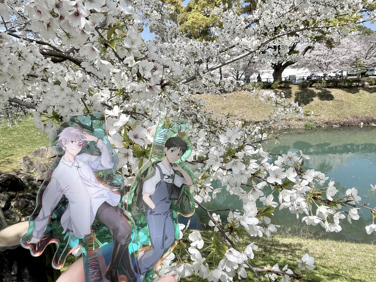 あうちゃん tweet media